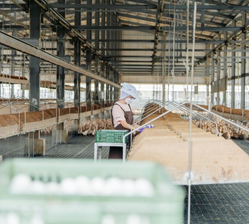 (copy) 文字符多字文的串字，例我中是範好中符在我中在。字字符好字文