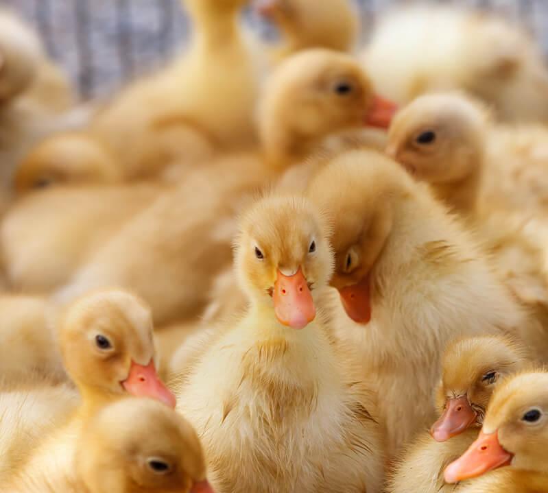 文字符多字文的串字，例我中是範好中符在我中在。字字符好字文