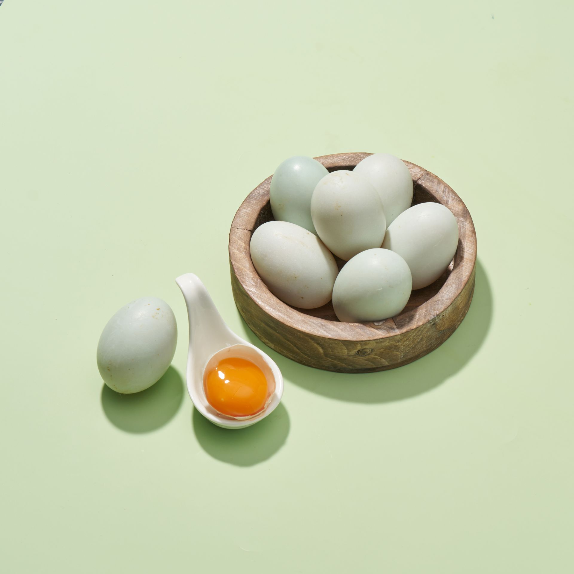 ALL_catalog_26D22_D0hIj0SRcI