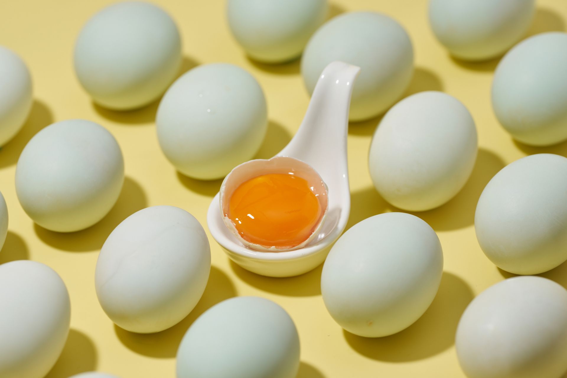 ALL_catalog_26D22_WtTgCAo4br