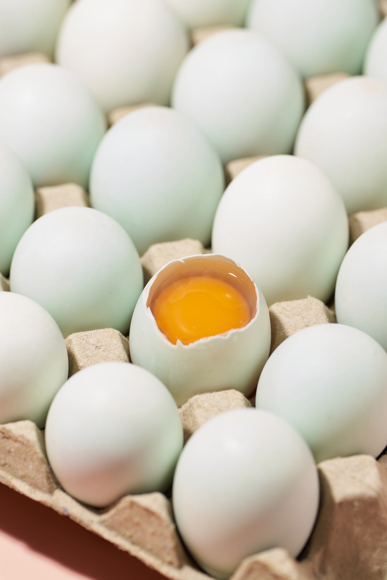 ALL_catalog_26D22_hgeDiyxHbs