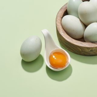 ALL_catalog_26D22_0QxHFm3nI9