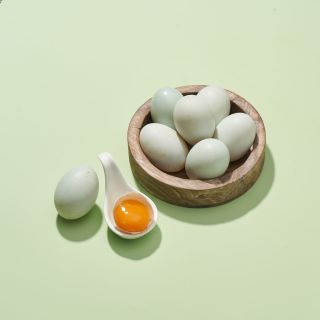 ALL_catalog_26D22_D0hIj0SRcI