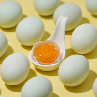 ALL_catalog_26D22_WtTgCAo4br