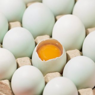 ALL_catalog_26D22_hgeDiyxHbs